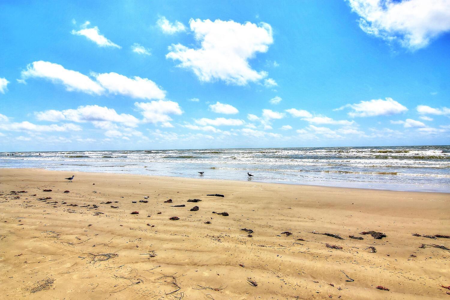 Sugar Shack Sh4897 Villa Port Aransas Kültér fotó